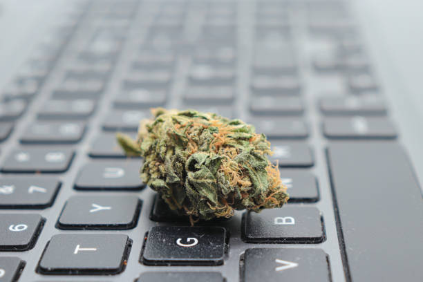 istock close up marijuana bud on top of a keyboard. 1442478991