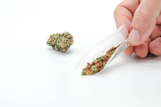istock hand holding marijuana or weed joint isolated on white background 1442479021