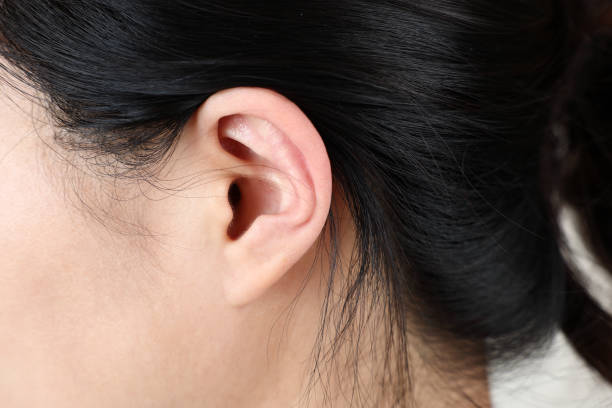 istock side view of woman's ear 1442482939