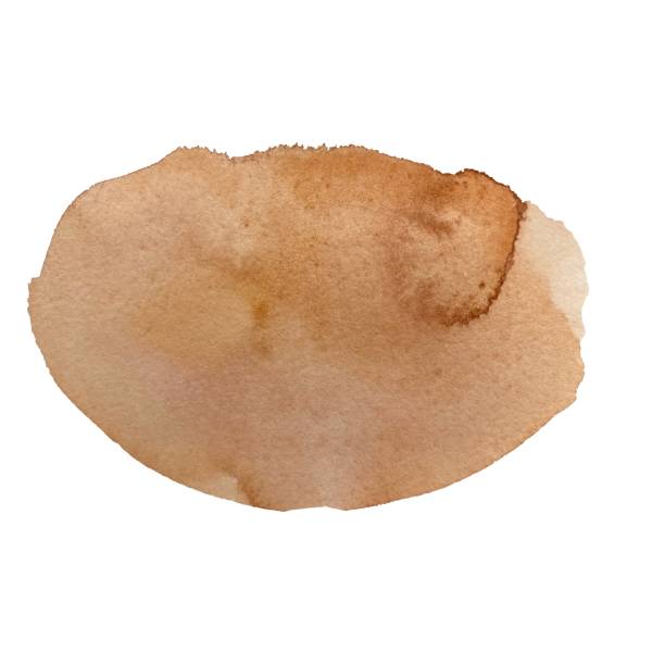 istock Brown peach blot oval a watercolor illustration 1442484348
