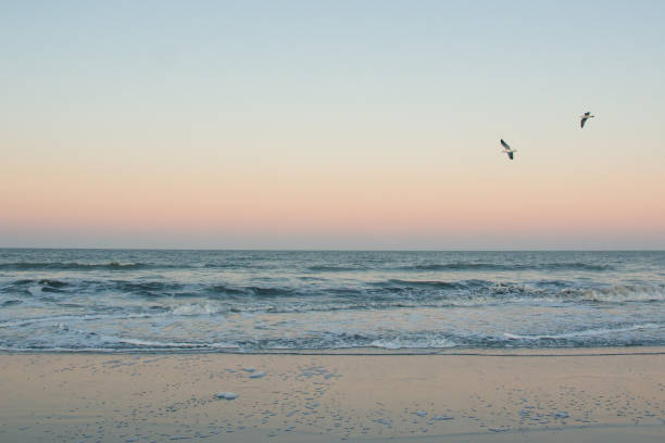 deserted beach in costa del este stock photo