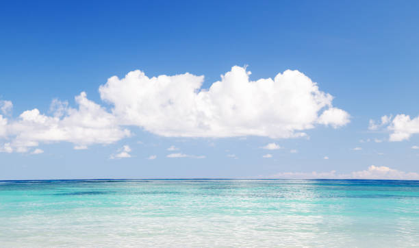 istock Tropical seascape white cloud above blue sea. 1442484889