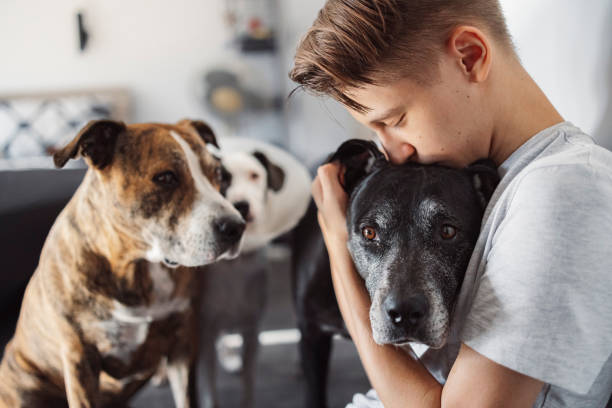 istock A boy plays with dogs 1442485597