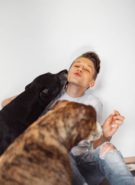 istock A boy plays with dogs 1442485742