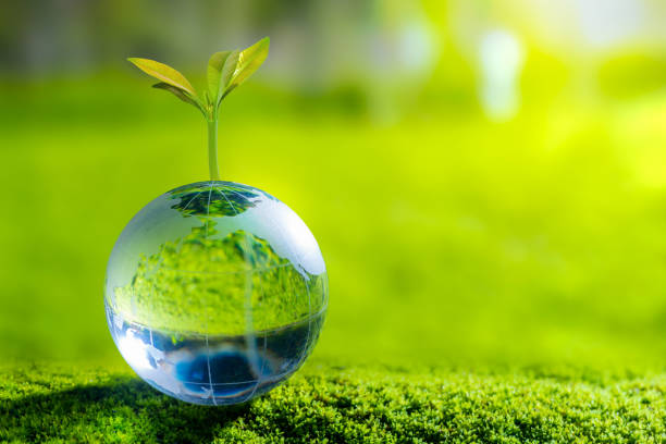 istock 3D illustration Renewable energy concept Earth Day or environmental protection Protect the forests that grow on the ground and help save the planet. 1442487455