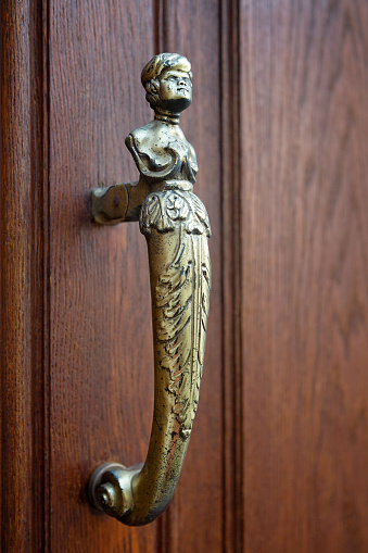 Close-up of a beautiful Lion door knocker.