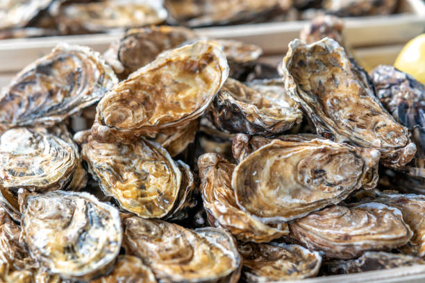 Oysters on sale at market stall stock photo