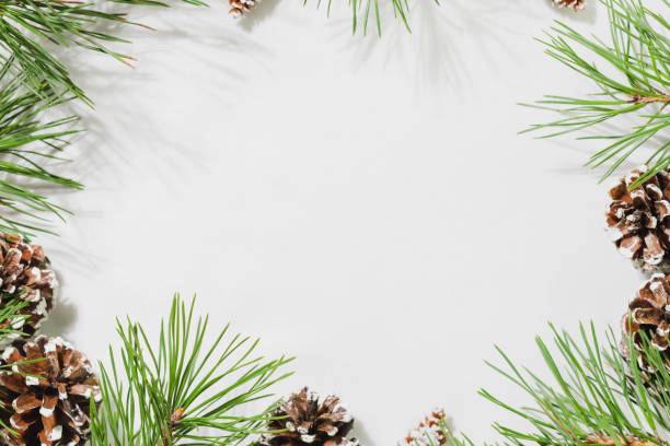 istock Frame with fir branches and cones with copy space 1442491507