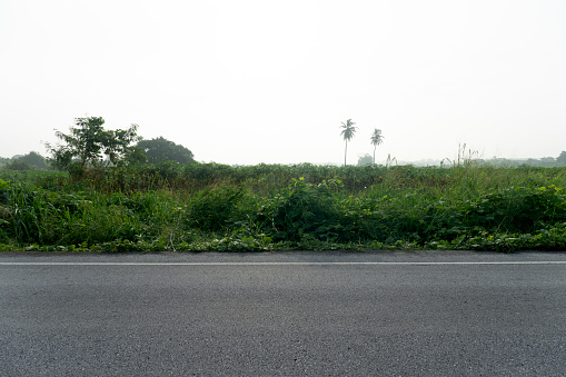 Horizontal view of Asphalt road morning in Thailand. Fresh green trees and grass background. Under the hazy skies of the morning white mist.