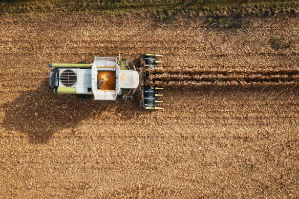 istock aerial view of a combine harvesting corn 1442494156
