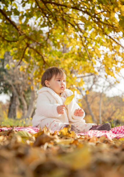 istock A baby in autumn 1442494957