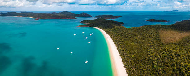 istock High angle view of white sand beach in Whitsundays, Australia 1442496849