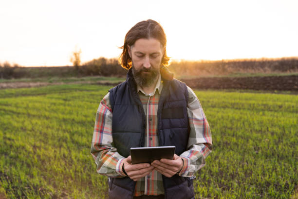 istock Farmer with digital tablet in young wheat field. 1442498930