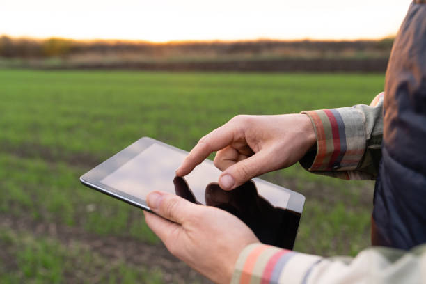 istock Farmer with digital tablet on an agricultural field. 1442498992