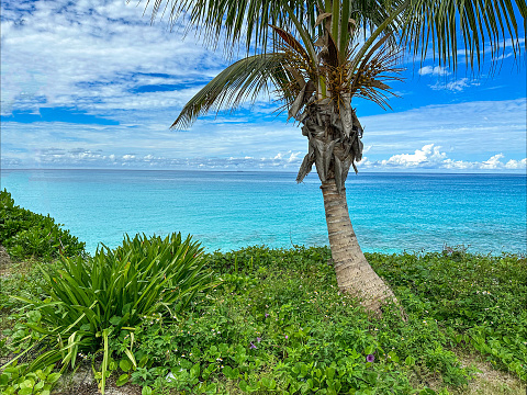 Beautiful beach in the bahamas