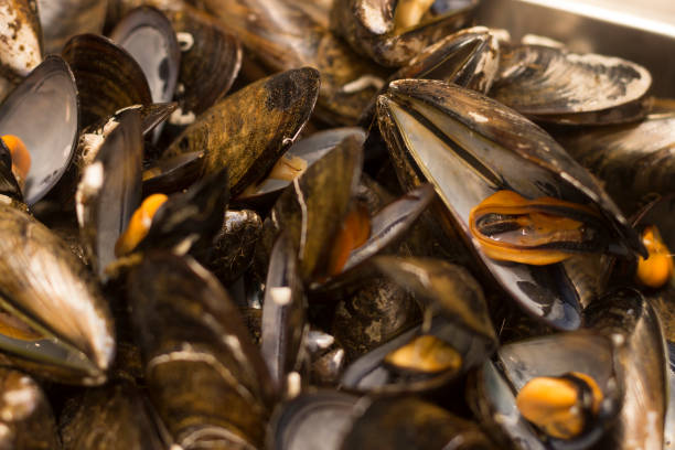 istock Boiled mussels close up 1442507129