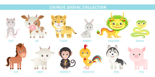 ilustrações, clipart, desenhos animados e ícones de coleção do zodíaco do ano novo chinês. ilustrações vetoriais em estilo simples e infantil. rato, boi, tigre, coelho, dragão, cobra, cavalo, cabra, macaco, galo, cão e porco. - snake year china chinese new year