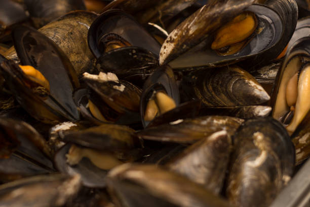 istock Boiled mussels close up 1442507437