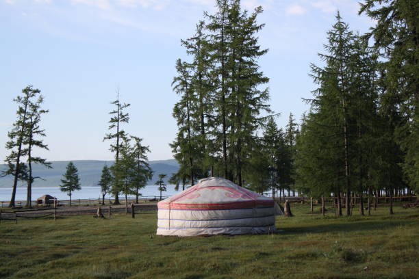 A nomadic tent by the beauty of Khuvsgul lake, Khuvsgul province, Mongolia. stock photo