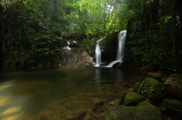 istock Beautiful waterfall flowing from the mountain in the forest. 1442509177