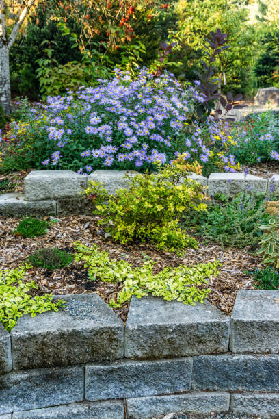 istock Garden Terrace Flowers 1442509379