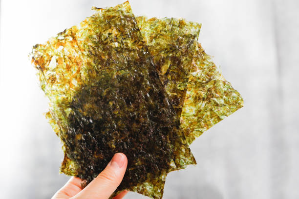 istock hold dried roe, a kind of seaweed 1442512596