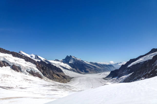 istock Panoramic view from upper Aletsch glacier on Aletsch glacier at noon. Jungfrau Hight tour, Berner Alpen, Schweiz, Europe. 1442515019