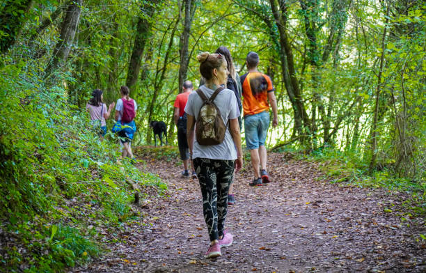 Free Stock Photo of Group of People Walking Through a Forest | Download ...