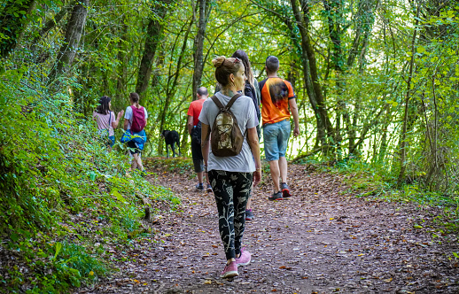Group of friends walking through a lush green forest with many fallen leaves on the ground. Behind everything walks a woman looking sideways