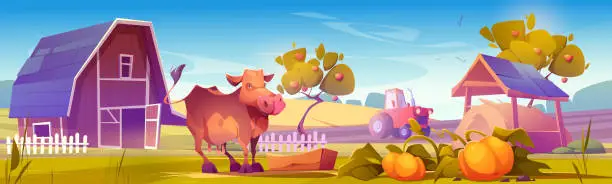 Vector illustration of Farm landscape with cow gaze near wooden barn