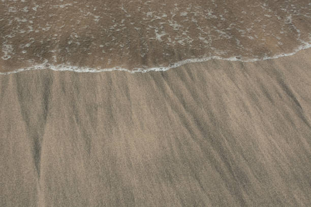 istock Gold desert Sand texture on the beach 1442520633