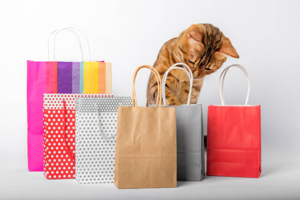 istock Domestic cat among multi-colored packages on a white background. 1442525046