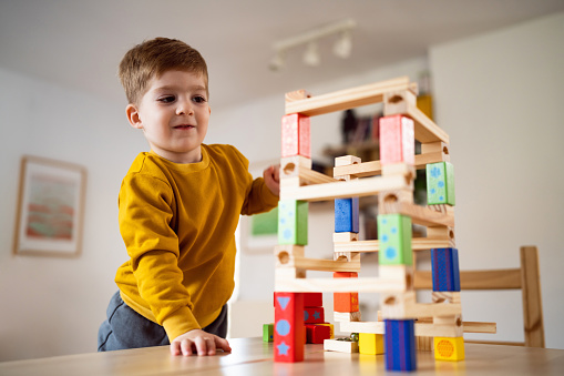 Boy playing with wooden blocks at home.