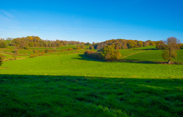 istock Fields and trees in a green hilly grassy landscape under a blue sky in sunlight in autumn 1442529052