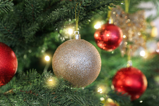 istock Beautifully decorated Christmas tree with bauble, closeup 1442529904