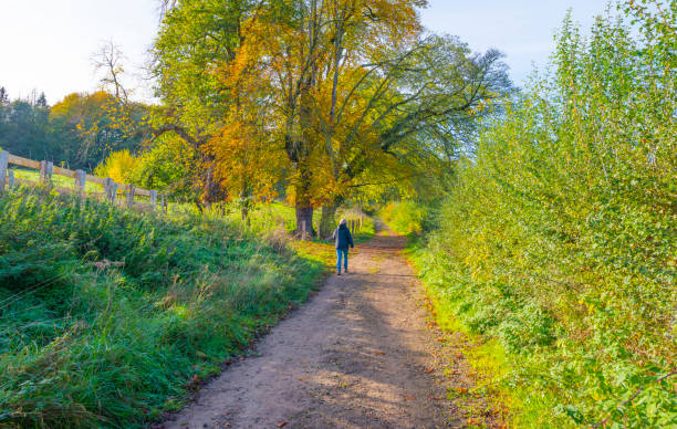 istock Fields and trees in a green hilly grassy landscape under a blue sky in sunlight in autumn 1442530099