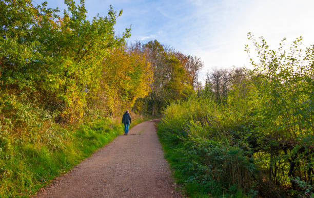 istock Fields and trees in a green hilly grassy landscape under a blue sky in sunlight in autumn 1442530326