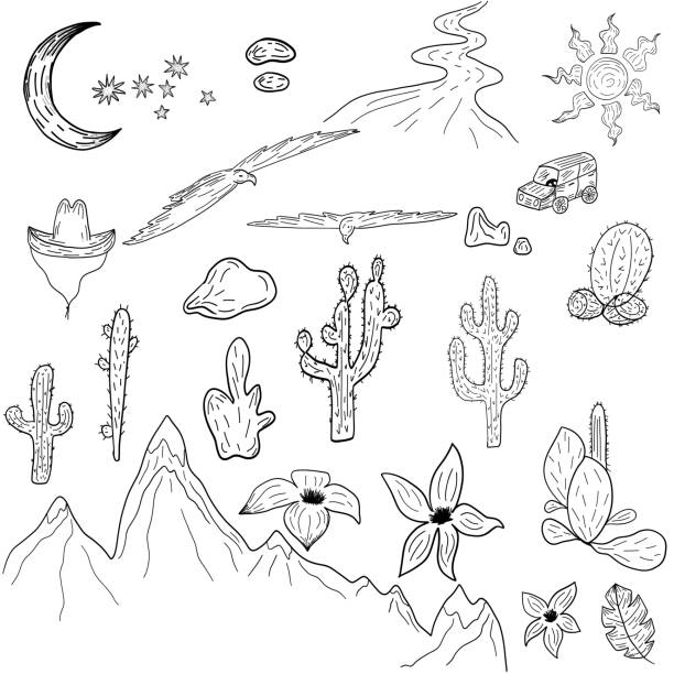 ilustrações, clipart, desenhos animados e ícones de arizona deserto vibrações cactos lua sol estrelas montanha - poke weed