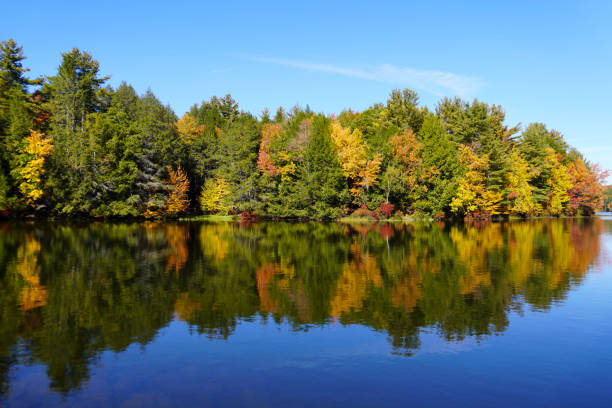 New England fall colors reflecting in a lake stock photo