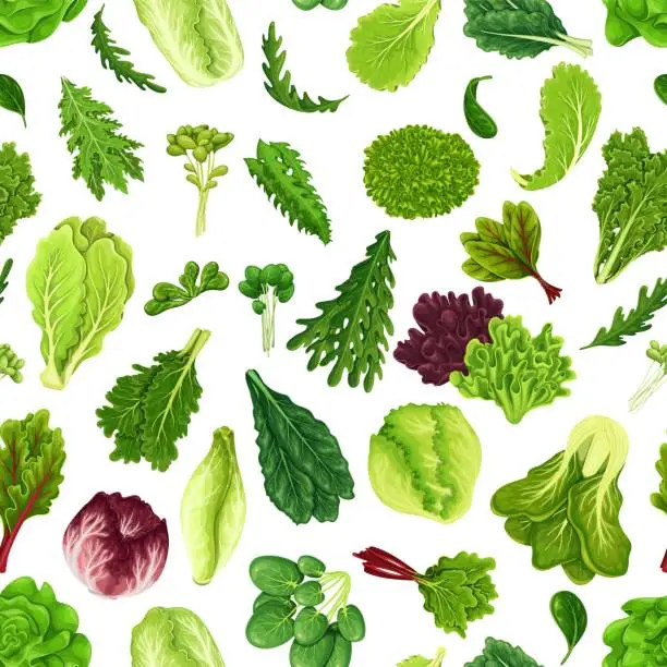 Vector illustration of Salad Leaf Set Seamless Pattern