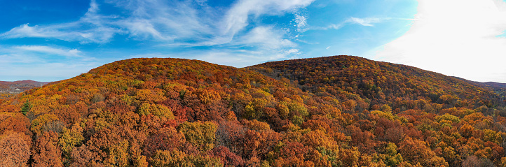 Aerial view of peak foliage in New Jersey during autumn time.