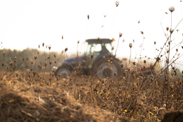 Tractor working in the field, depth of field