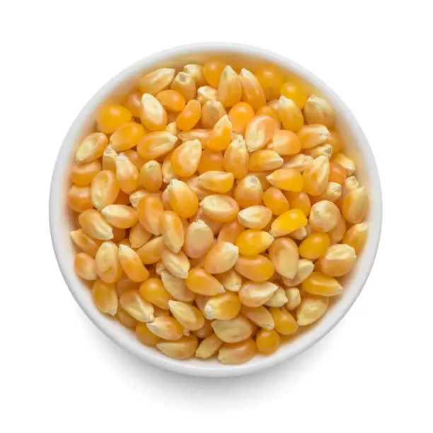 Photo of Popcorn uncooked kernels in white bowl isolated on white. Top view.