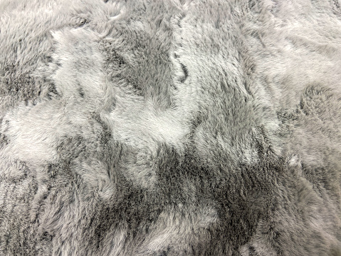 Gray and white color fur texture background