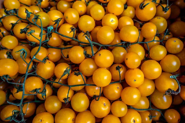 close up of a lot of yellow cherry tomatoes. Ingredients on kitchen counter for preparing food. Typical Mediterranean food. Streetmarket, vegetable background