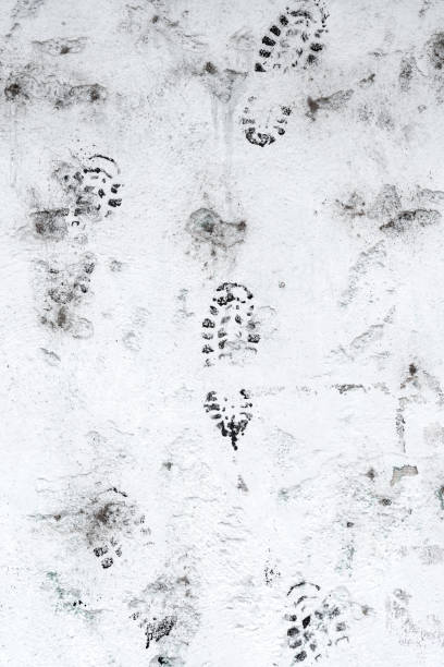istock Grungy boot prints on a white grunge cement wall close-up 1442565921