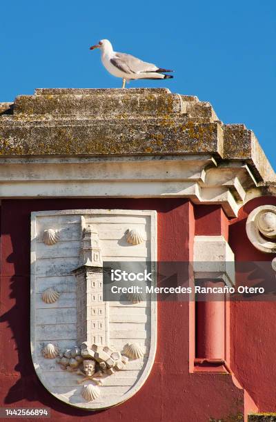 A Coruña City Coat Of Arms On Oldfashioned Facade Seagull On Top Stock Photo - Download Image Now