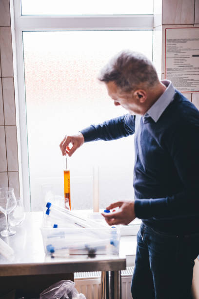 istock Man working with brewery equipment producing craft beer 1442571250