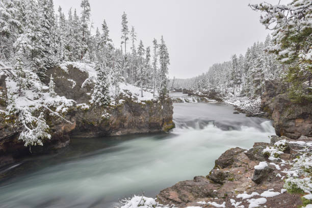 istock snowed Yellowstone national park 1442571282