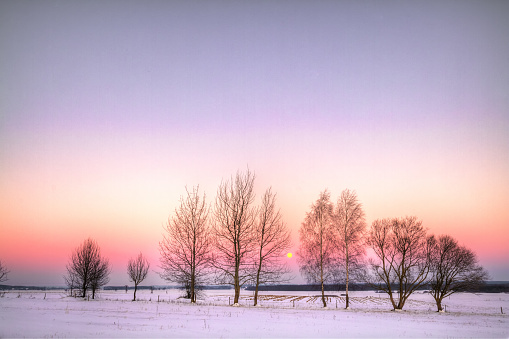 Landscape - winter sundown, trees and colourful sky